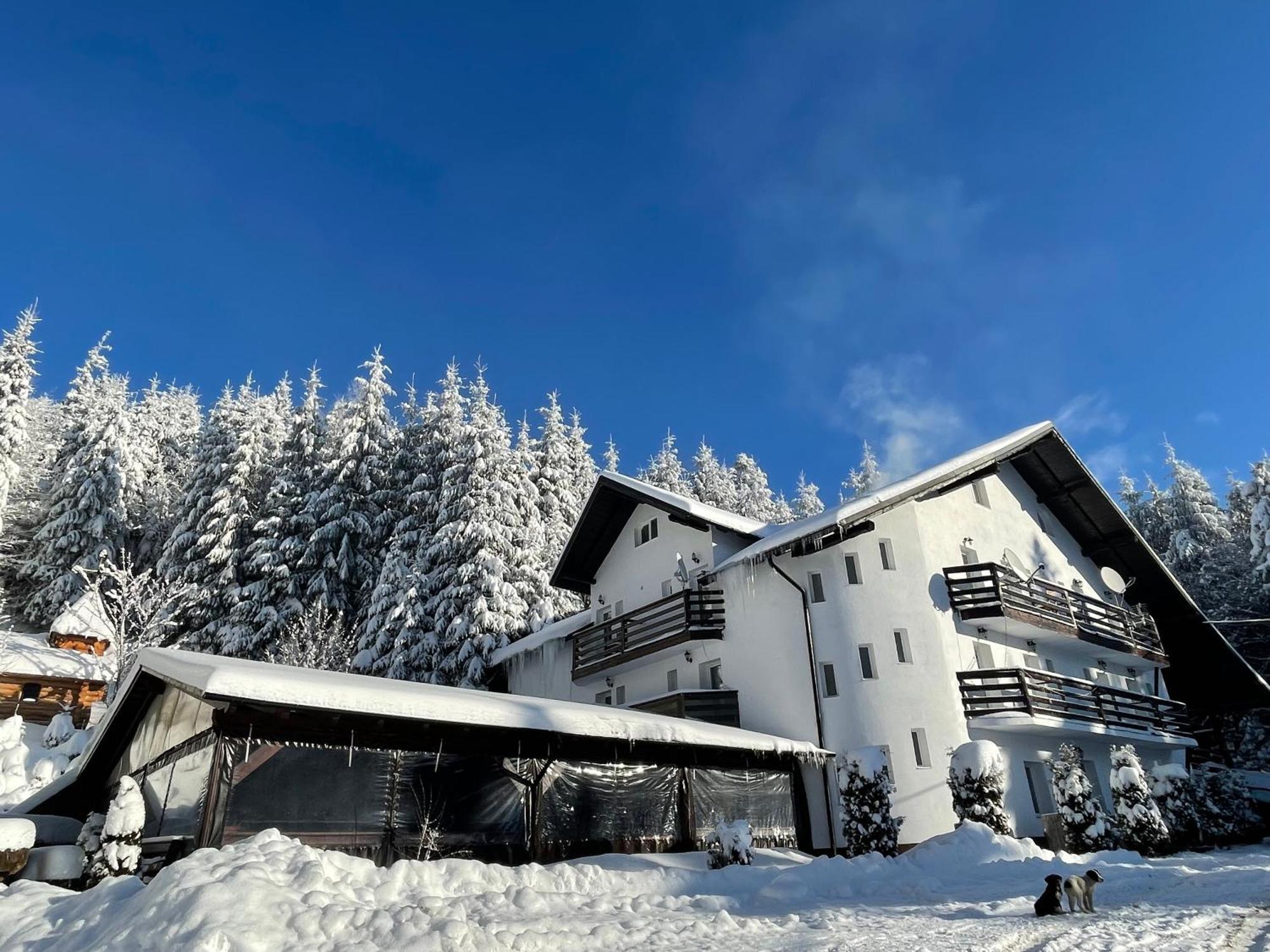 Pensiunea Silvania Statiunea Exteriér fotografie